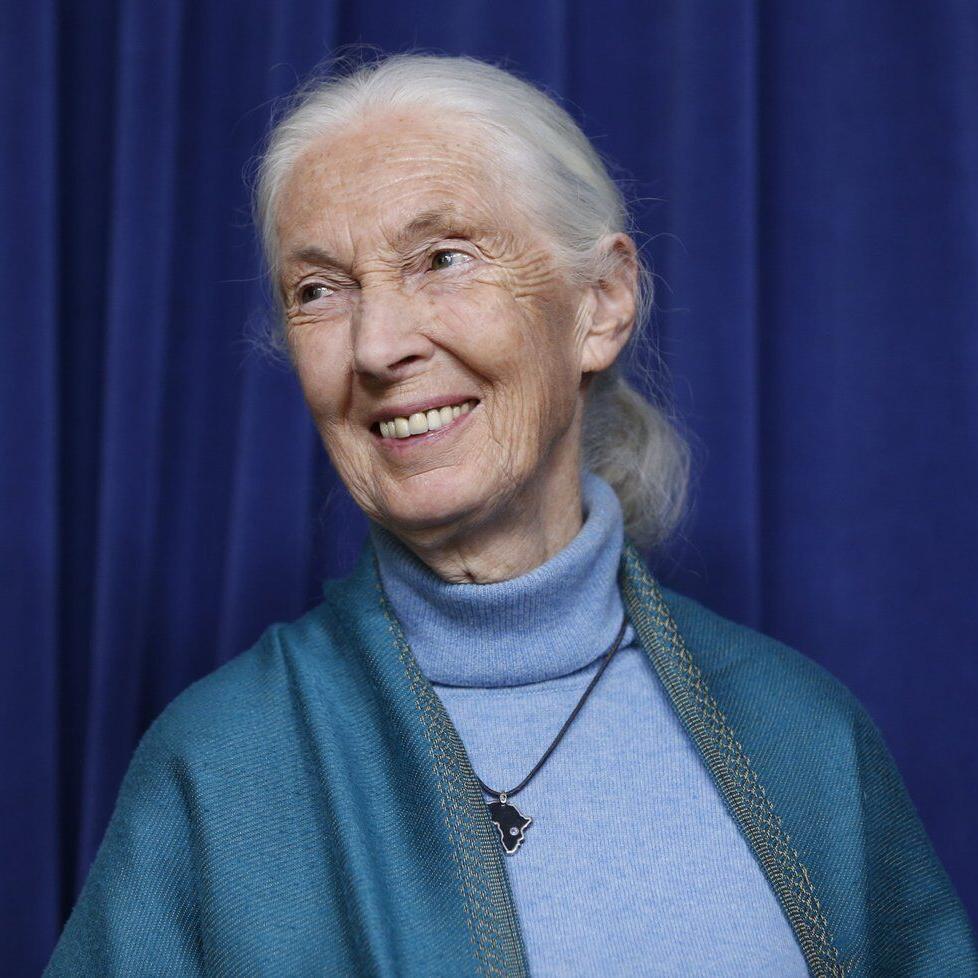 'No one of her stature': Conservationist Jane Goodall remembered in Canada